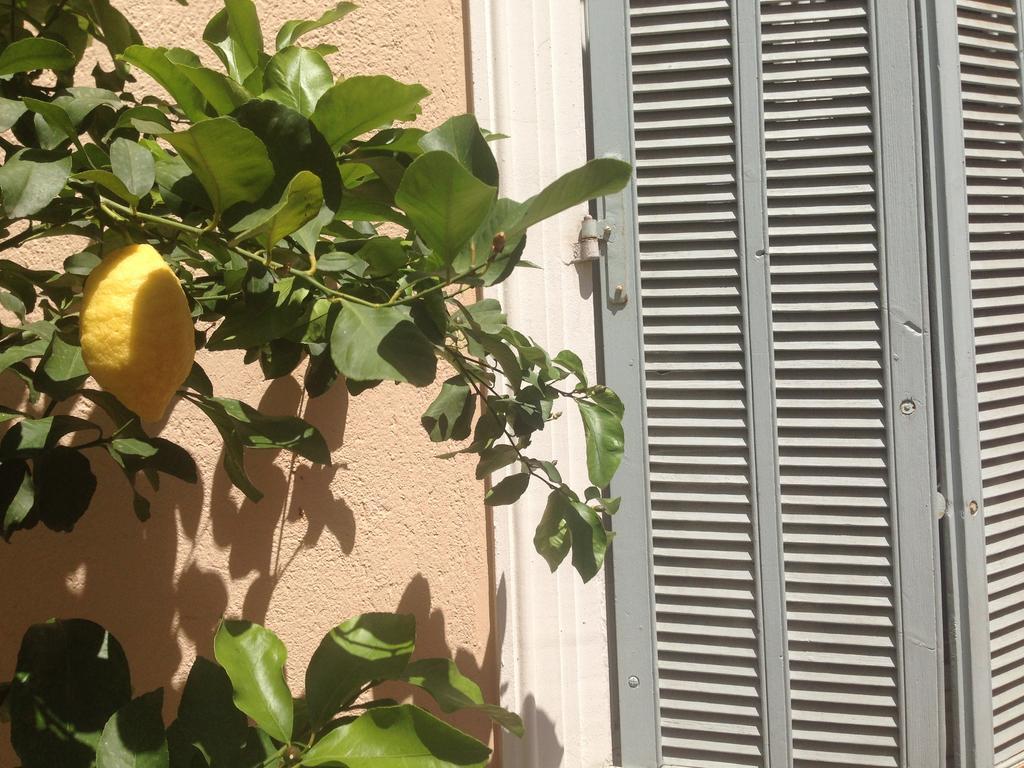 Chanteclair Cannes Exterior foto